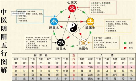 中醫五行歸類表|中醫五行:基本概念,五行屬性及歸類,五行屬性歸類,五行。